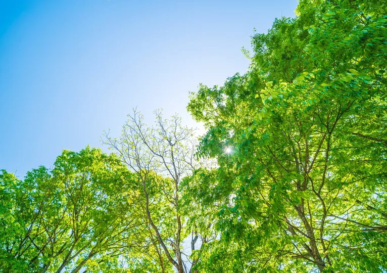 船舶保険事故の損害調査・鑑定・算定