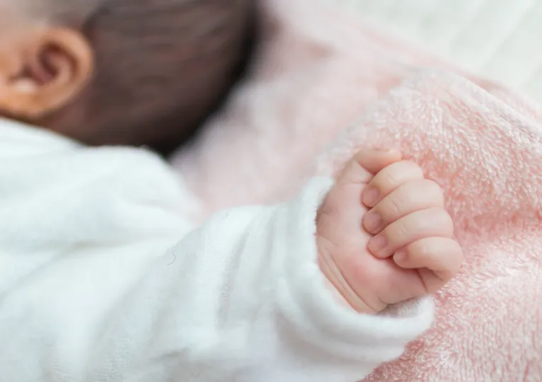 船舶保険事故の損害調査・鑑定・算定